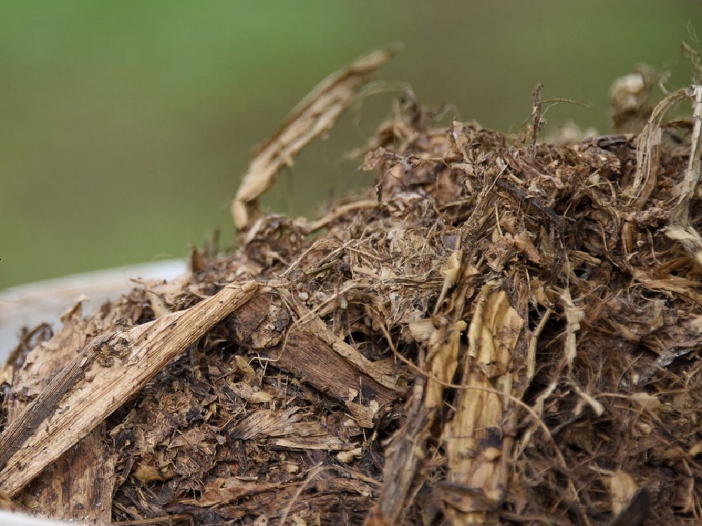 Concejales presentaron una iniciativa para producir Biochar