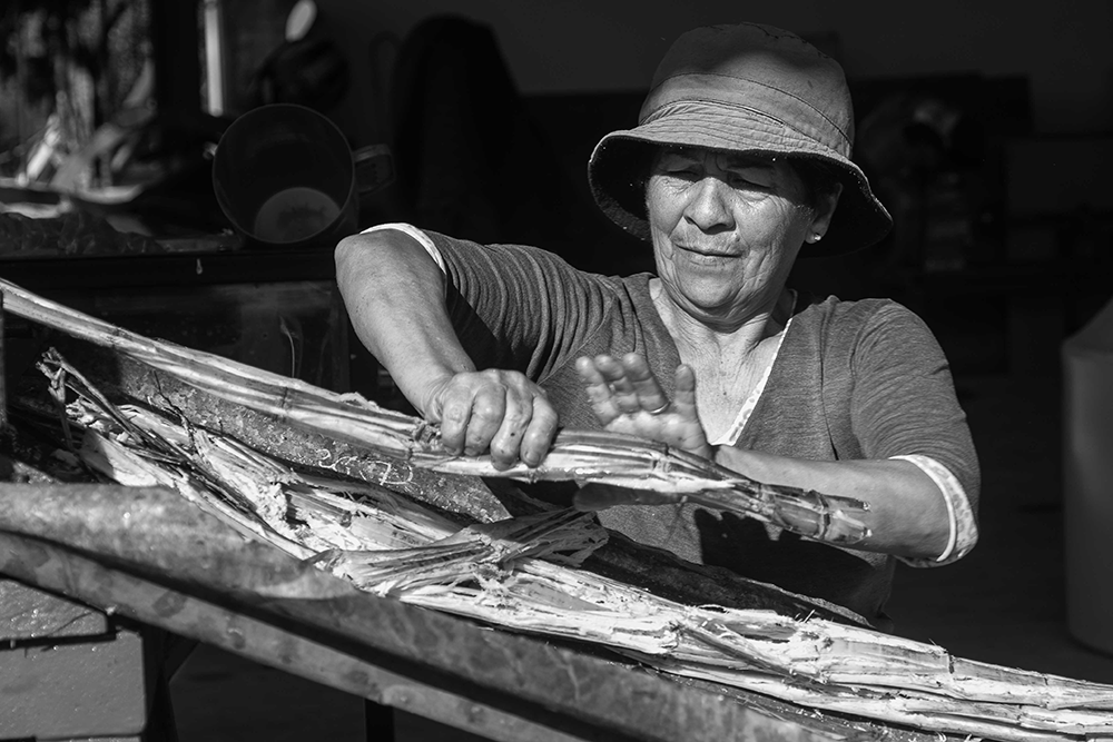 Reconocernos y agradecernos: una deuda pendiente con y entre nosotras