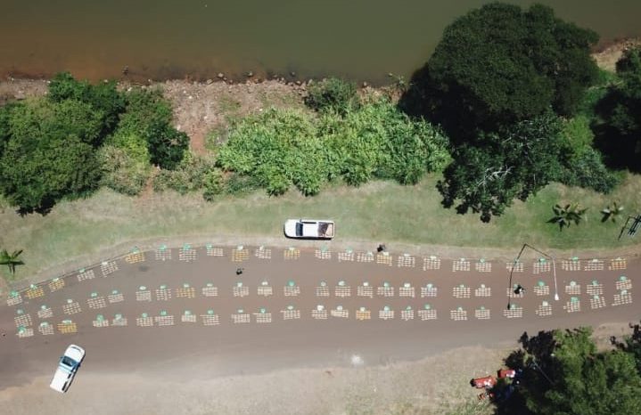 Decomisaron millonario cargamento con más de 1.500 kilos de marihuana