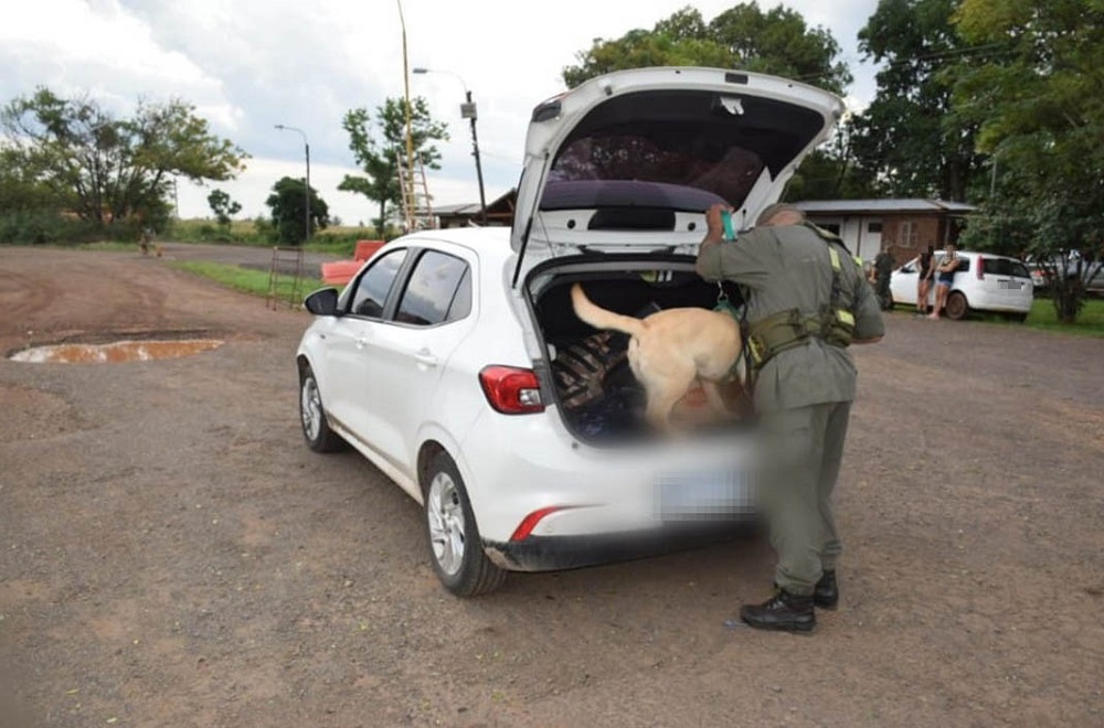 Dos mujeres detenidas con casi 50 kilos de marihuana