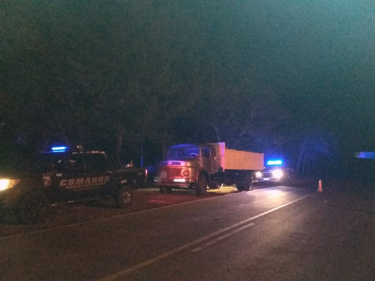 Detectaron un camión que llevaba una carga ilegal de soja en Alba Posse