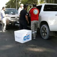 El ministro de Salud correntino chocó y llevaba en el baúl vacunas contra el COVID-19