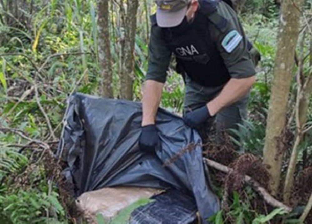 Escondieron casi 60 kilos de droga entre la vegetación