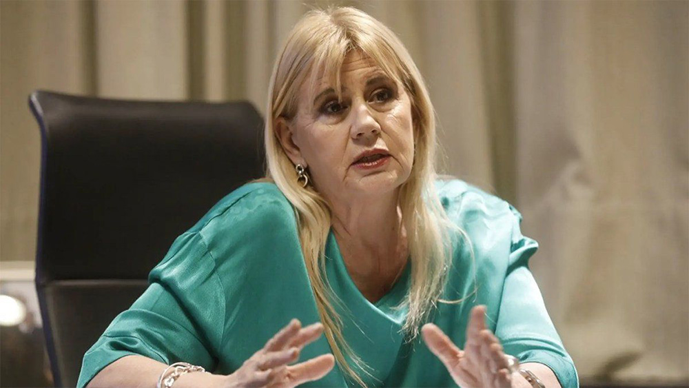 Comisión bicameral - Marcela Losardo