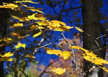 Termina oficialmente el verano en Argentina: cuándo y a qué hora