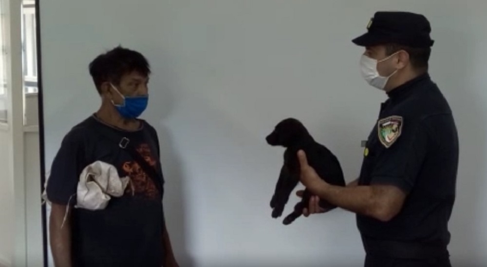 Detuvieron a una mujer por robarle el perro y varios elementos a un jubilado