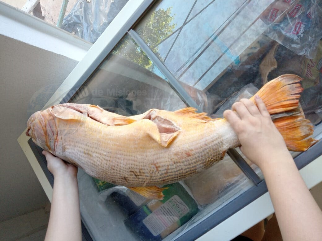 No se espera en Misiones una nueva suba de precios del pescado