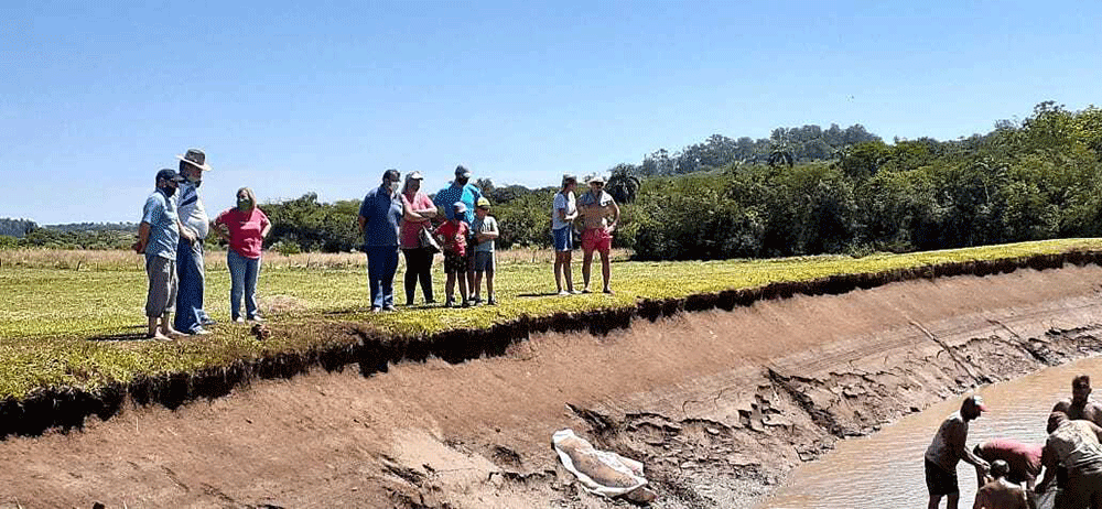 Exitosa jornada de cosecha y venta de pescados a pie de estanque
