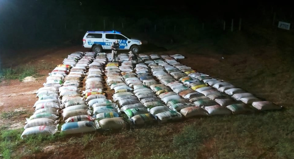 En menos de 24 horas, incautaron casi 20 toneladas de soja ilegal en Misiones