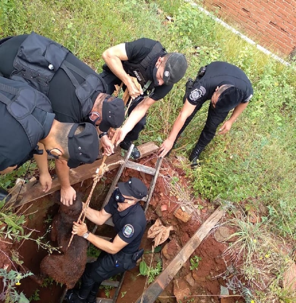 En San Vicente rescataron a un perro que cayó a un pozo