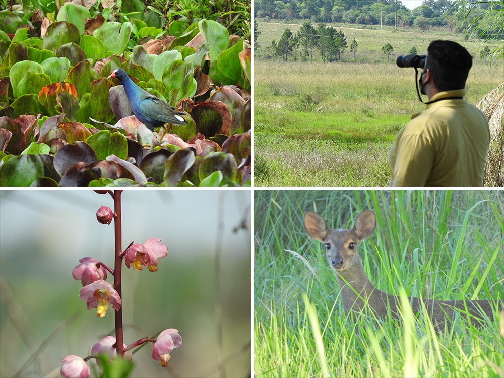 Cuenca de "El Zaimán"