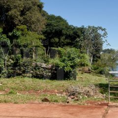 Amplían denuncia los vecinos del “Montecito”