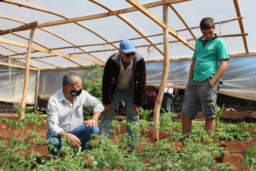 Con semillas y capacitación fortalecen cuencas cebolleras