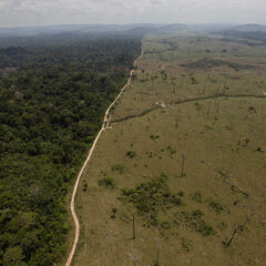 Brasil - deforestación del amazonas