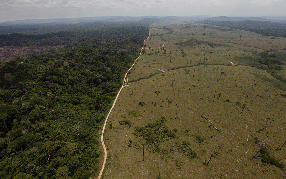 Brasil - deforestación del amazonas