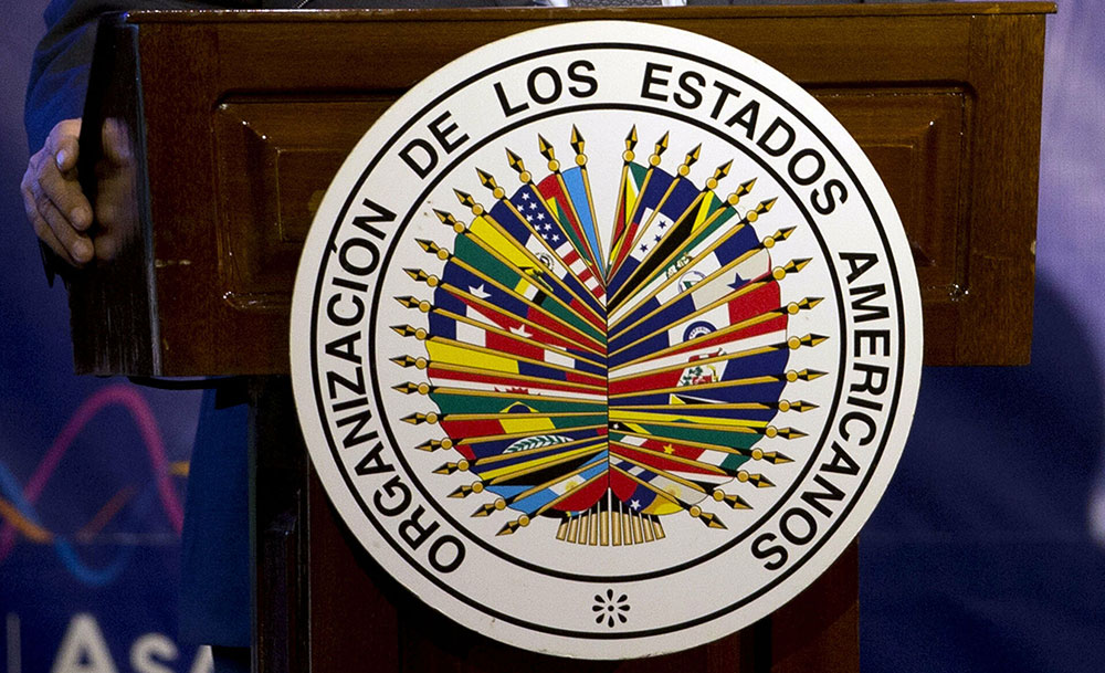 Acusan ante la OEA al Gobierno de “buscar impunidad y violar derechos humanos”