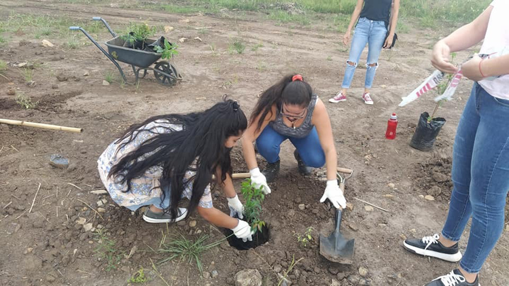 Más de mil árboles nativos fueron plantados en Posadas en los últimos meses