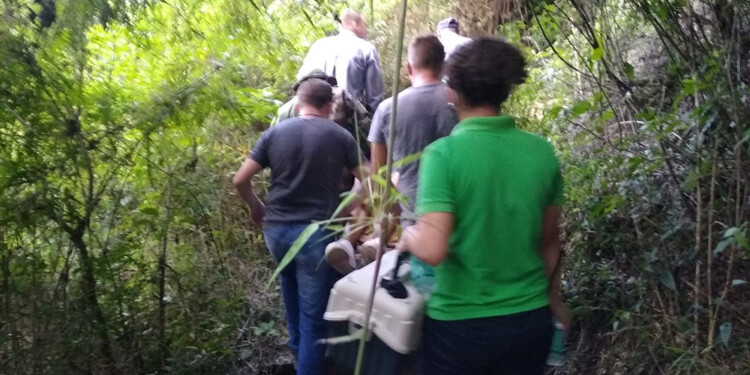 Rescataron a un turista en el Parque Salto Encantado