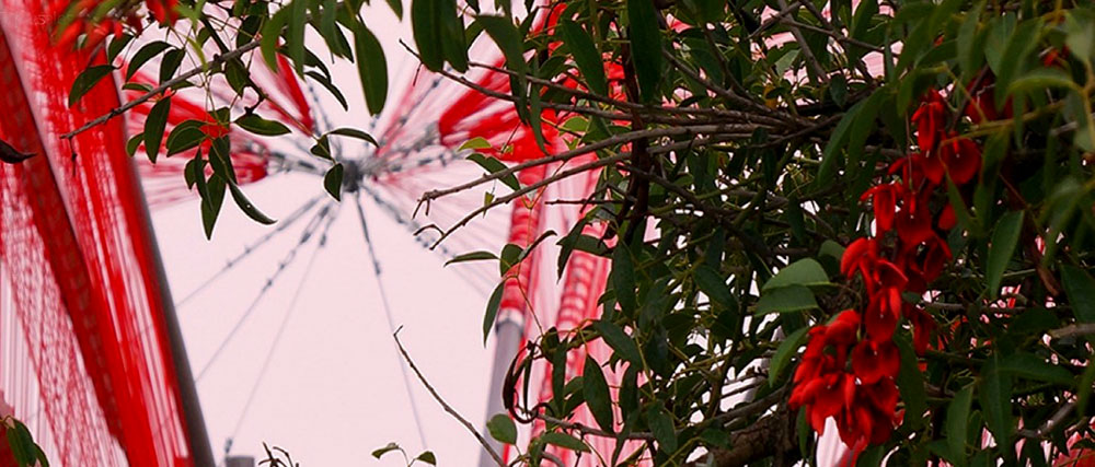 Hecha con 15 kilómetros de tanza roja, una instalación recrea la flor de ceibo