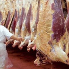 Media Res - Carne - frigoríficos