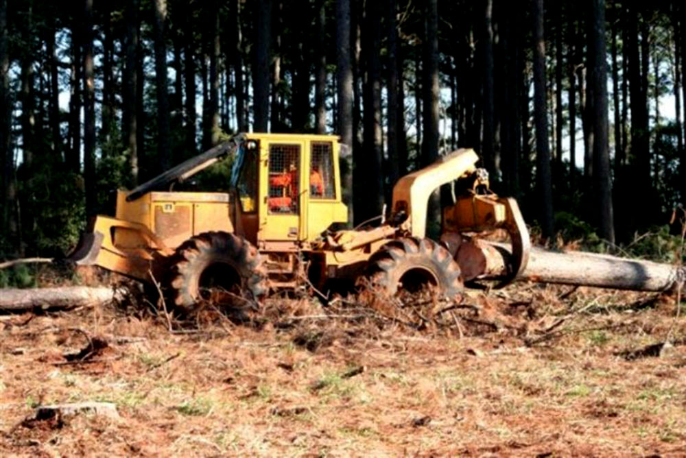 En Corrientes niegan que falten rollos por exportar