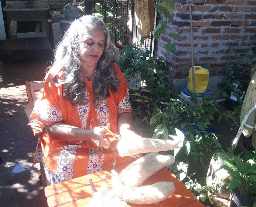 Cultiva esponjas vegetales en su patio y emprende en la cosmética