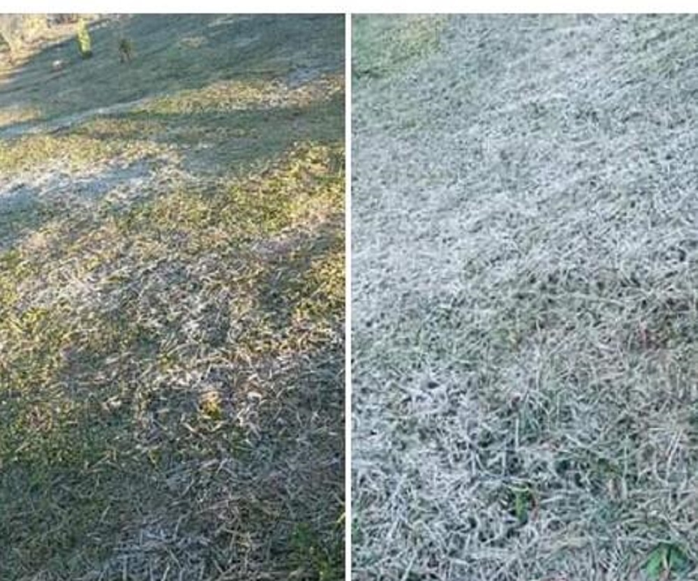 Primera helada del 2021 en Misiones tuvo lugar en Colonia Siete Estrellas