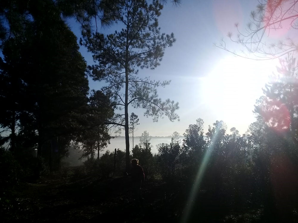 Vecinos en alerta por el daño que causa el humo de horno de carbón