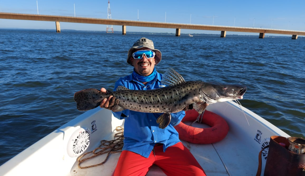 Histórica captura de un surubí pintado de más de un metro y medio en Posadas