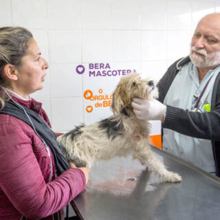 "Es vital que la gente vacune anualmente a su perro o gato contra la rabia"