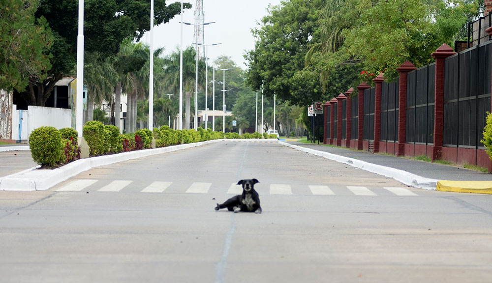 Las ciudades de Formosa y Clorinda vuelven a la fase 1 del ASPO