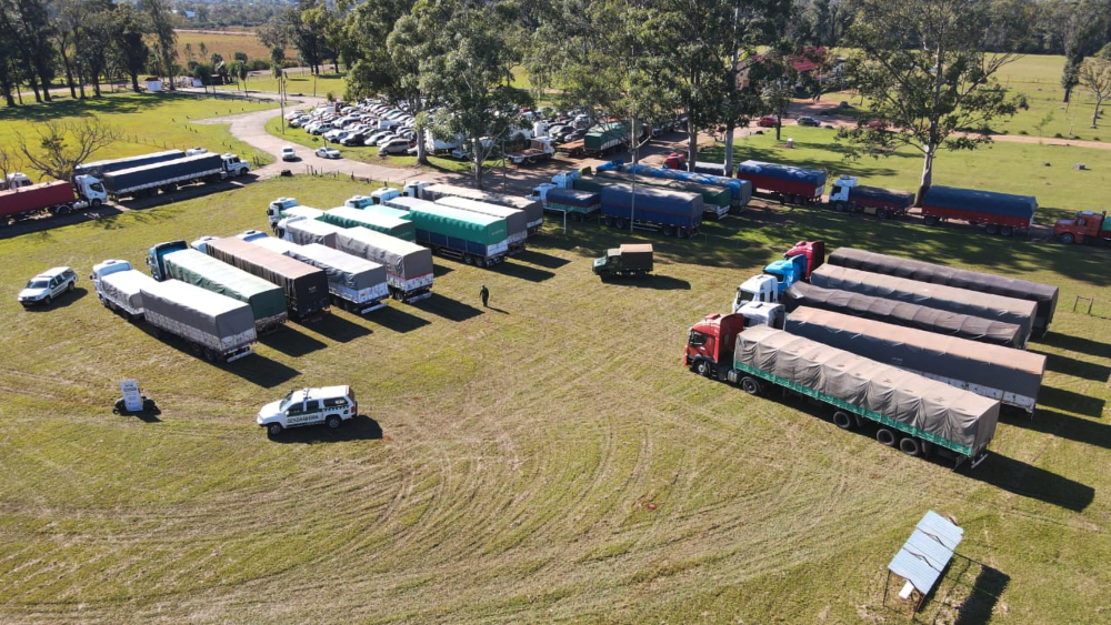 Contrabando récord: incautaron 479 toneladas de granos en Corrientes