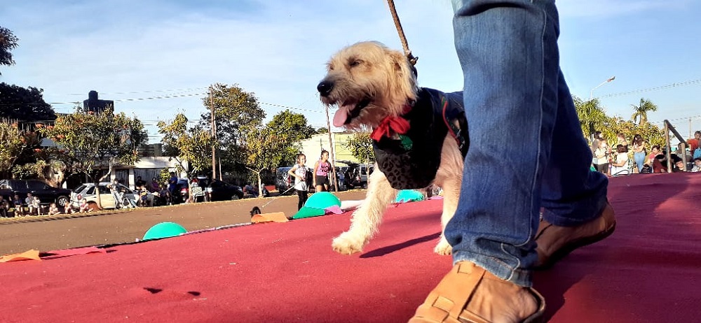 Apóstoles: destacado desfile de mascotas por el Día del Animal