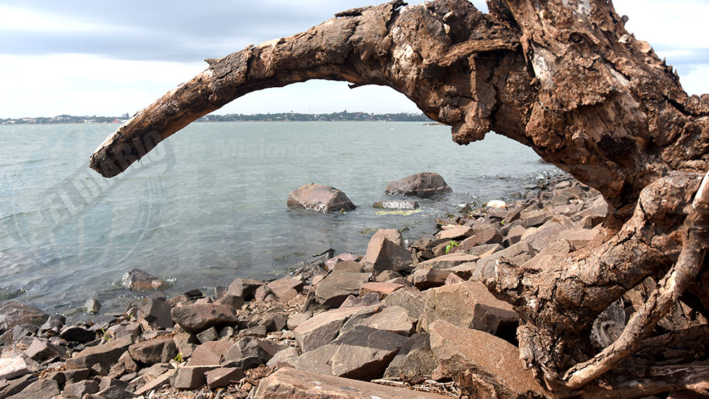“Es probable que todo el año haya problemas con la altura de los ríos”