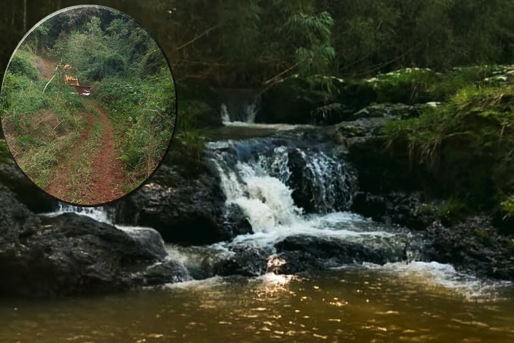 No bajan los brazos en el reclamo por un camino rural en San Antonio