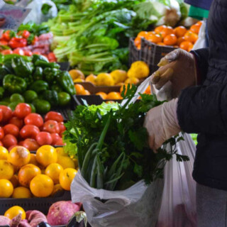 Bajas temperaturas: feriantes se preparan para cuidar los cultivos