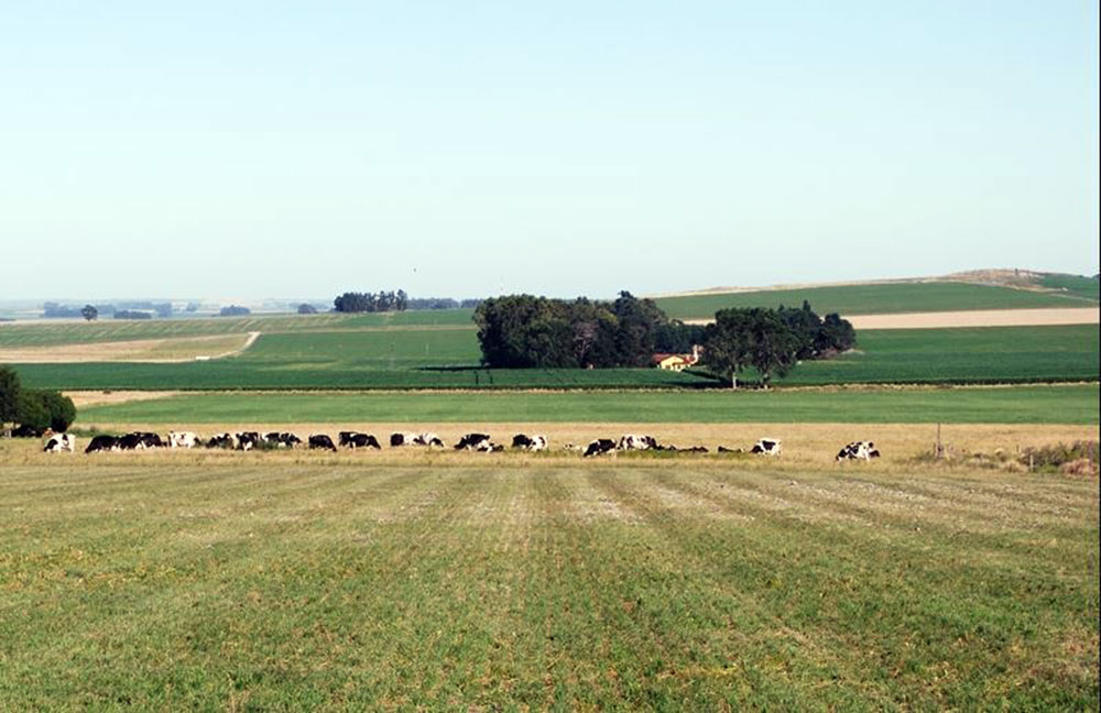 Bioeconomía: una estrategia para reducir el estrés sobre el ambiente