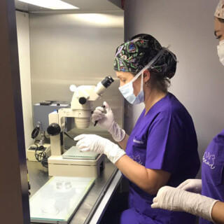 En Misiones aumentaron las consultas por fertilización