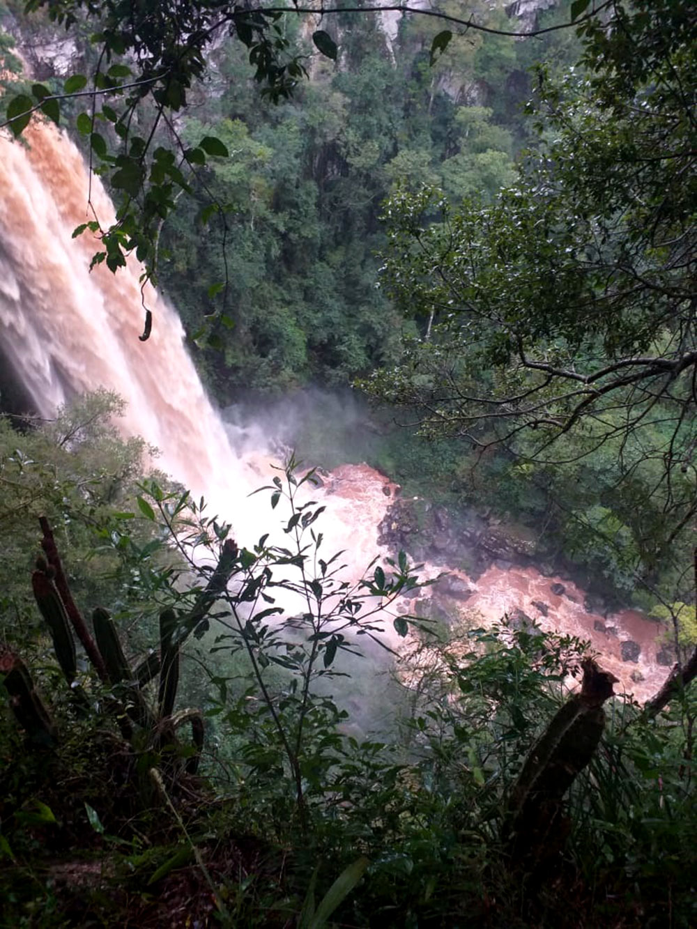 Trabajo conjunto para cuidar los arroyos Cuña Pirú y Alegre