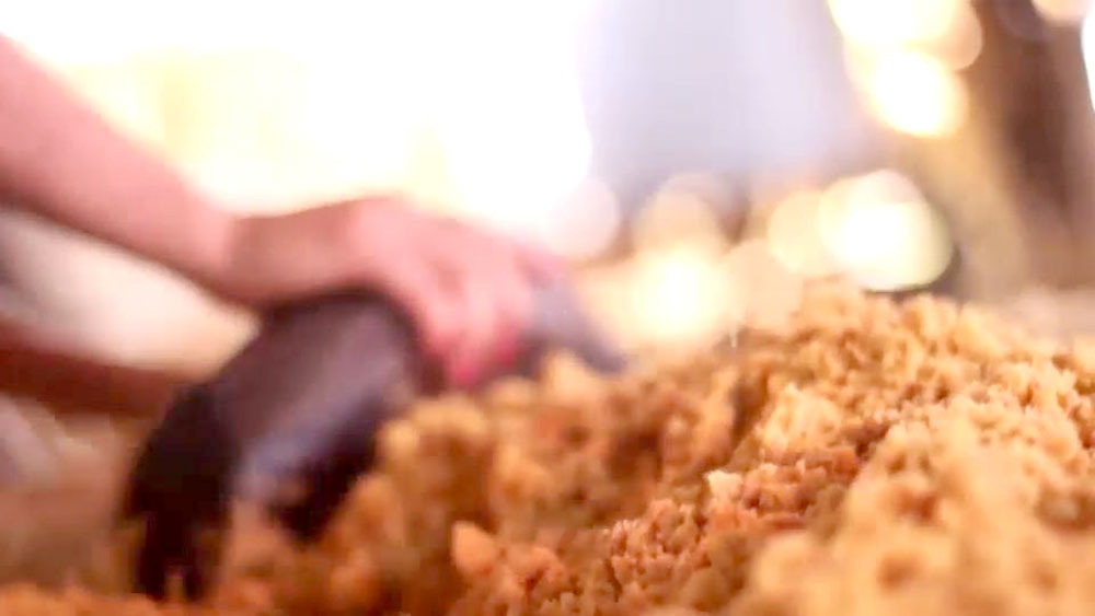 Avanza proyecto para fomentar la producción de azúcar rubio artesanal