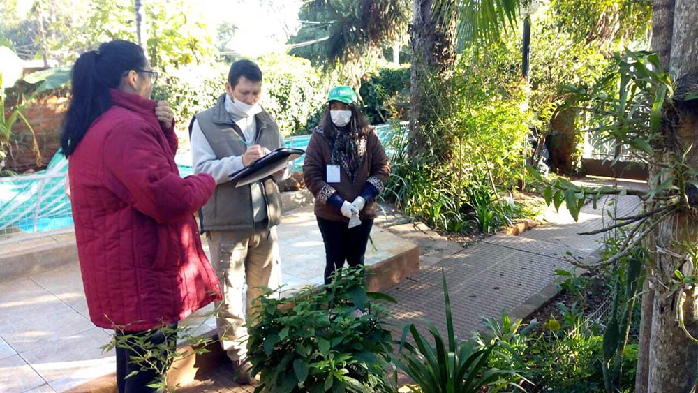 Monitorean y retiran ejemplares de caracol gigante africano en Posadas