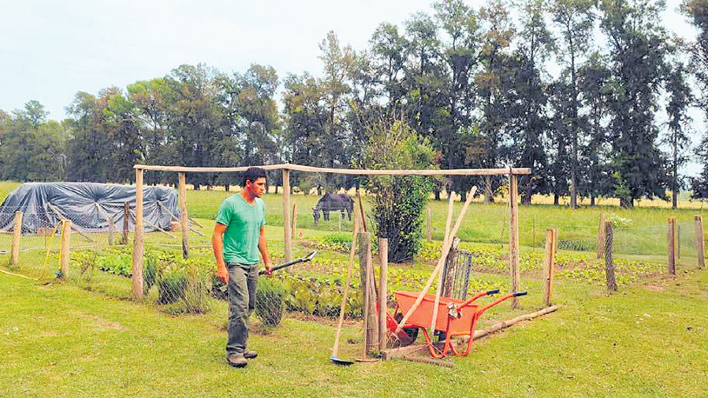 Qué hacer en invierno en la huerta familiar
