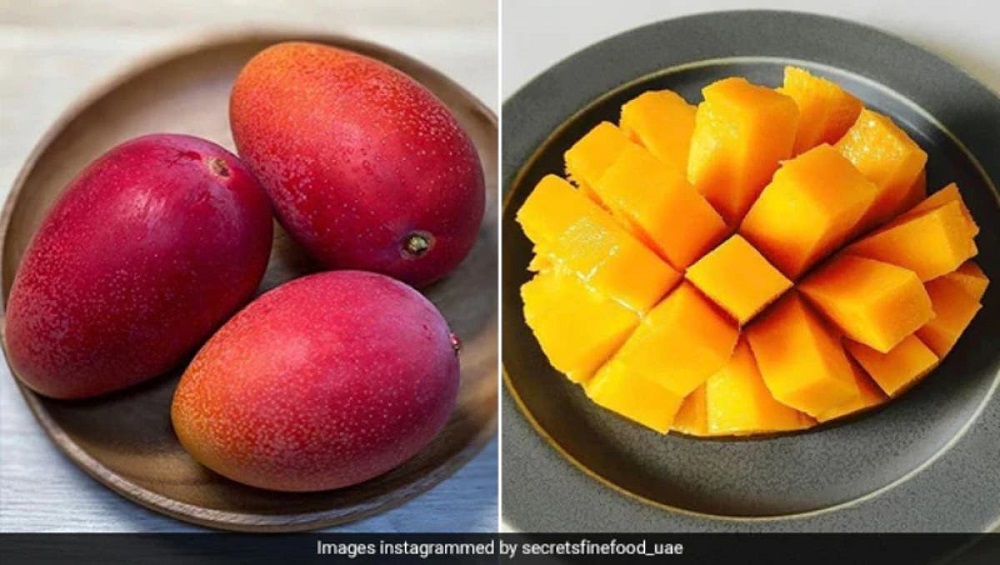 Sembraron por error el mango más caro del mundo y ahora es una pesadilla
