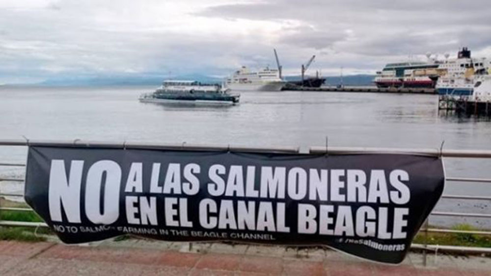 Medida histórica: Tierra del Fuego prohíbe la cría de salmones