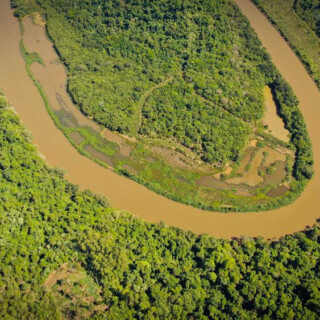 Ambientalistas solicitaron informe sobre la situación en Garuhapé