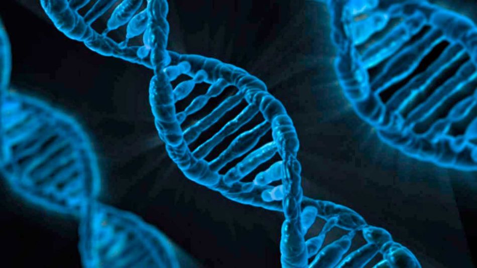 En busca del auténtico ADN de los argentinos, nuestra editorial de hoy