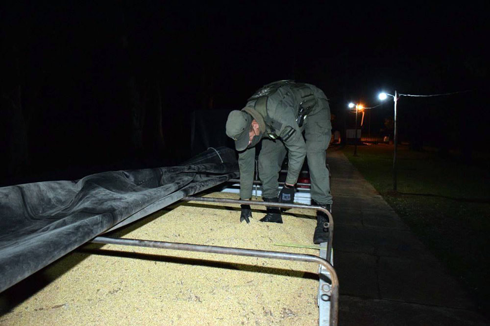 Corrientes contrabando soja