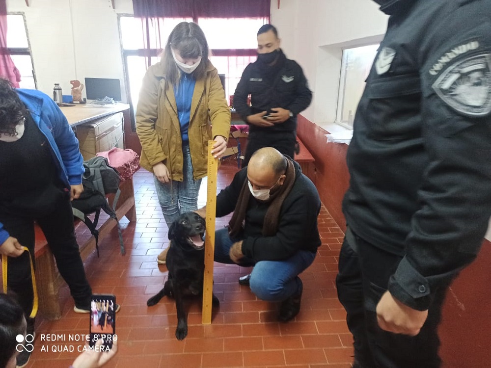 Prótesis 3D para “Black”, el perro que “custodia” a la Policía de San Javier
