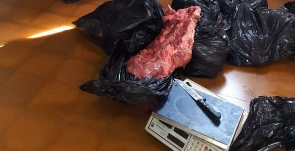 Cuatrero tras las rejas y carne recuperada