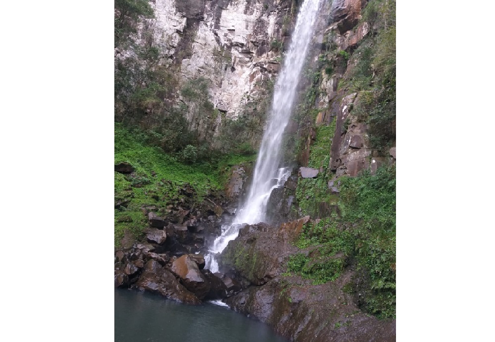 Restaurarán vertientes que preservarán el cauce del arroyo Cuña Pirú
